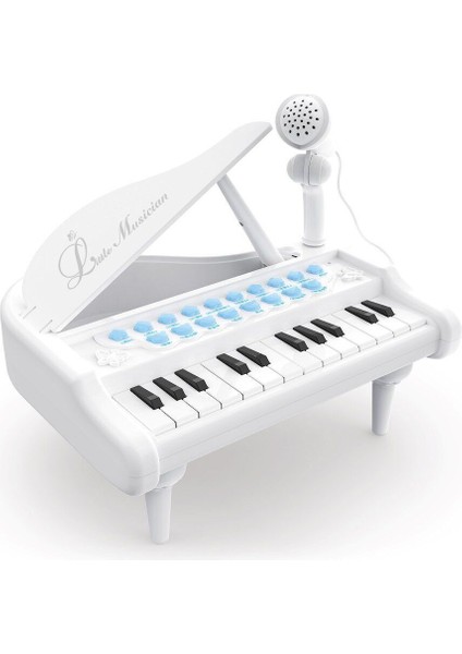 BAO-1505A Mikrofonlu Mini Piano 24 Tuş Mp3 Çalar modelleri