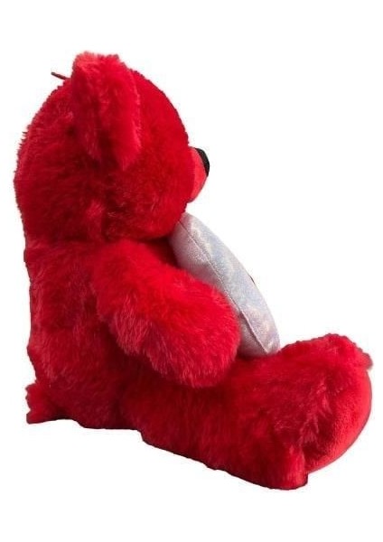 30 cm Ay Yıldız Temalı Ayıcık -Hly