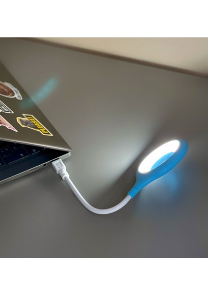 Mavi Renkli Taşınabilir USB Masa Lambası, Hafif ve Pratik Aydınlatma Seçeneği modelleri