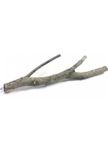 Doğal Ağaç Kuş Tüneği - 35/45CM (Yemlik Hediyeli)