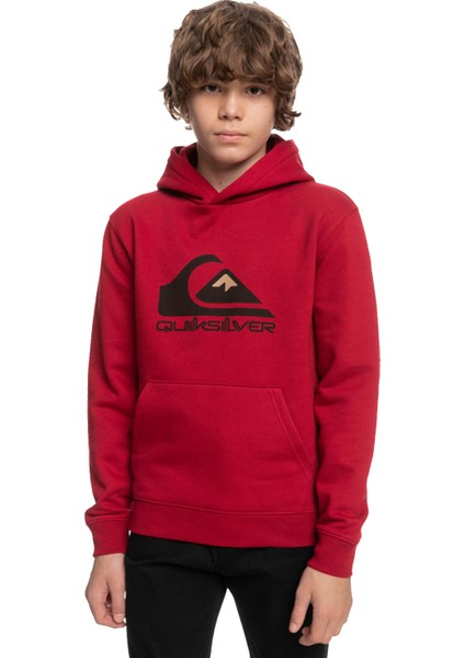 Big Logo Youth Erkek Çocuk Sweatshirt Kırmızı fiyatları