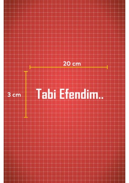 Tabi Efendim.. Oto Motor Araba Sticker Cam Sticker fiyatları