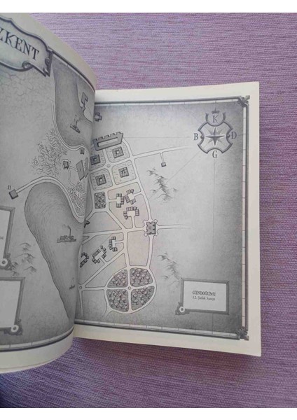 Buyucu Hırsız Sarah Prıneas. 2011 Basim. 300 Sayfa Cok Temiz Kondisyonda modelleri