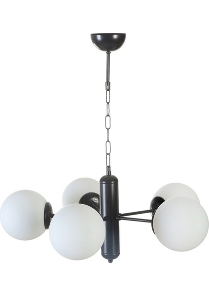 Şık 5'li Siyah Beyaz Camlı Avize Seti, Modern ve Estetik Aydınlatma Parçası