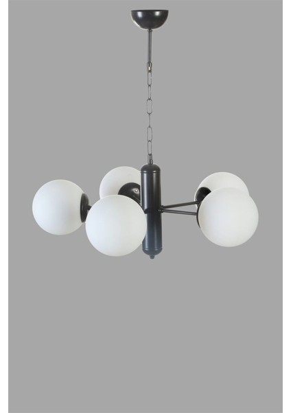 Şık 5'li Siyah Beyaz Camlı Avize Seti, Modern ve Estetik Aydınlatma Parçası fiyatları