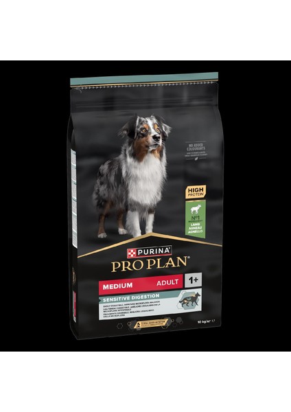 Medium Kuzu Etli Orta Irk Yetişkin Köpek Maması 10KG