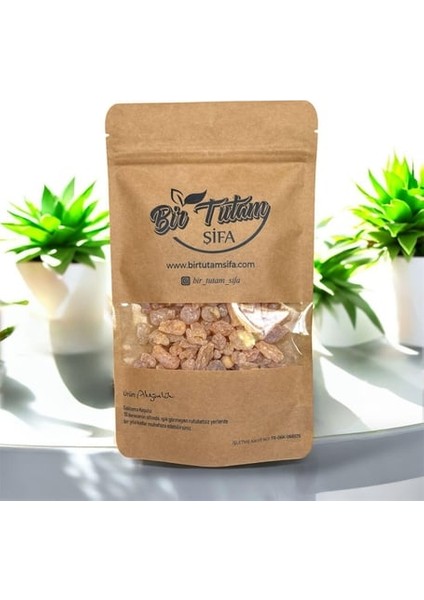 Akgünlük Sakızı 100GR fiyatları
