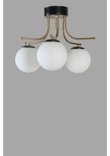 3'lü Siyah Beyaz Camlı Avize, Şık ve Modern Aydınlatma Seçeneği fiyatları