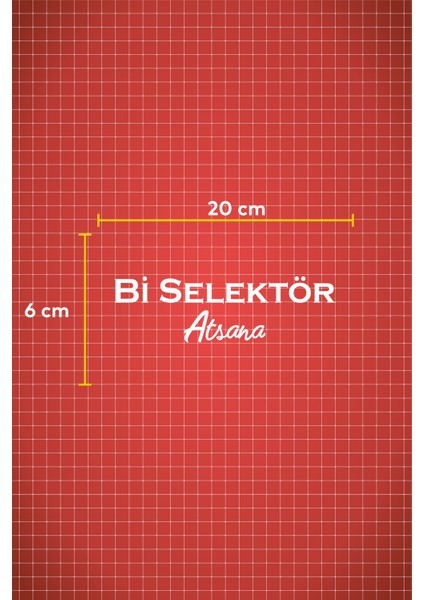 Bi Selektör Atsana Oto Sticker Cam Motor Araba Sticker fiyatları