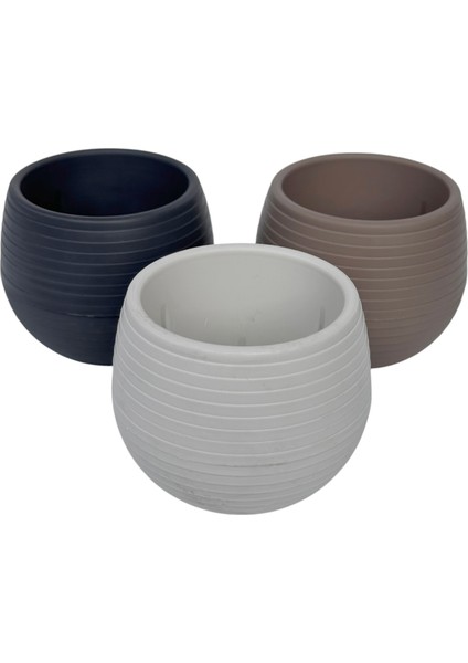 3 Adet Plastik Sukulent Saksı Seti 0,13 Lt Gizli Tabaklı Kaktüs ve Küçük Çiçek Saksısı 62 x 67 mm Krem Gri Kahverengi