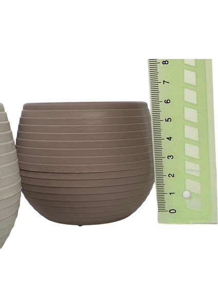 3 Adet Plastik Sukulent Saksı Seti 0,13 Lt Gizli Tabaklı Kaktüs ve Küçük Çiçek Saksısı 62 x 67 mm Krem Gri Kahverengi