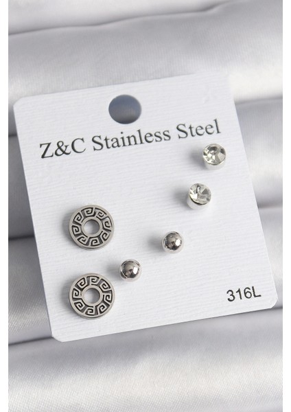 316L Çelik Gümüş Renk Zirkon Taşlı Labirent Model Kadın Küpe Seti