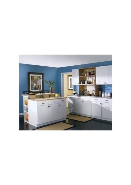 7840SRS Camerist One-Handle Low Arc Kitchen Musluk, Spot Resist Paslanmaz By Moen fiyatları