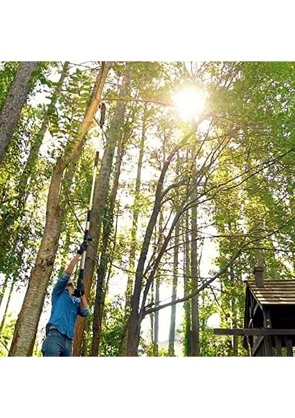 WG349E 20VOLT 2.0AH Li-Ion Tek Akülü 20CM Profesyonel Teleskobik Saplı Açı Ayarlı Zincirli Dal Budama fiyatları