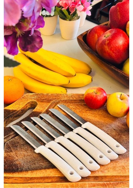 12'li Tırtıklı Meyve ve Sebze Bıçak Seti, Dayanıklı ve Şık Tasarım modelleri