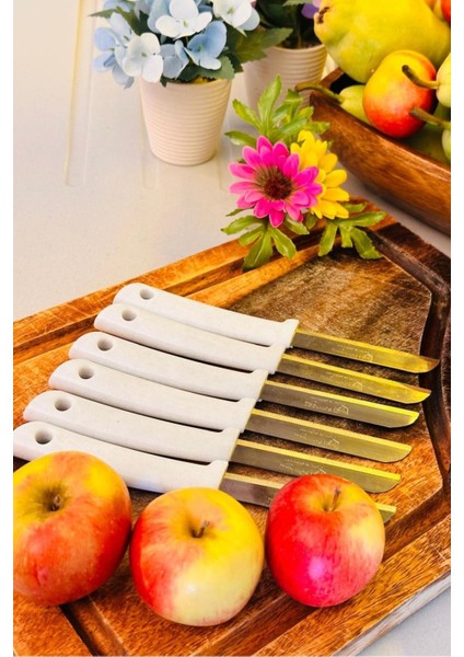 12'li Tırtıklı Meyve ve Sebze Bıçak Seti, Dayanıklı ve Şık Tasarım fırsatları