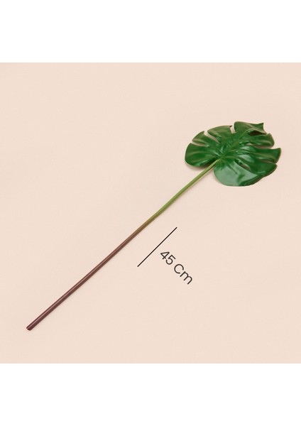 Deve Tabanı Dal Çiçek - Yeşil - 45 cm fırsatları