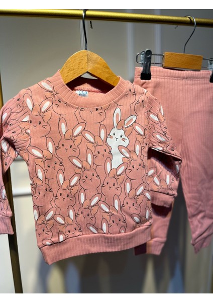 Tavşanlı Pembe Kız Bebek Alt-Üst Takım fiyatları