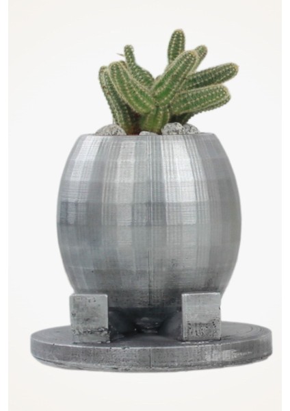 Dekoratif Saksı Gümüş Eskitme Küçük Çiçek Saksısı Yuvarlak Ayaklı Model