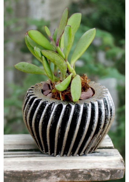 El Yapımı Saksı Gümüş Dekoratif Saksı Küçük Boy Model 13 fırsatları