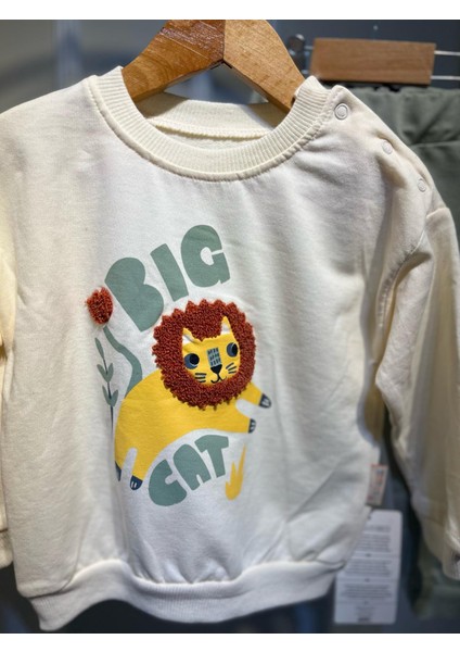 Big Cat Erkek Sweatshirt Alt-Üst Takım fiyatları