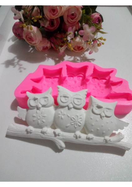 Üçlü Baykuş Kalıbı