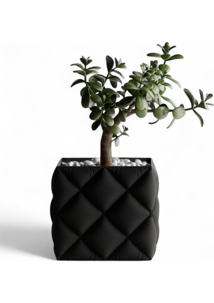 Modern Siyah Kare Plastik Saksı fırsatları