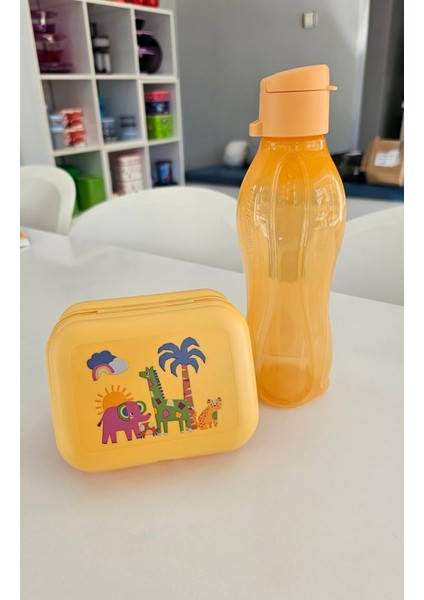 500 ml Suluk ve Beslenme Kutusu.