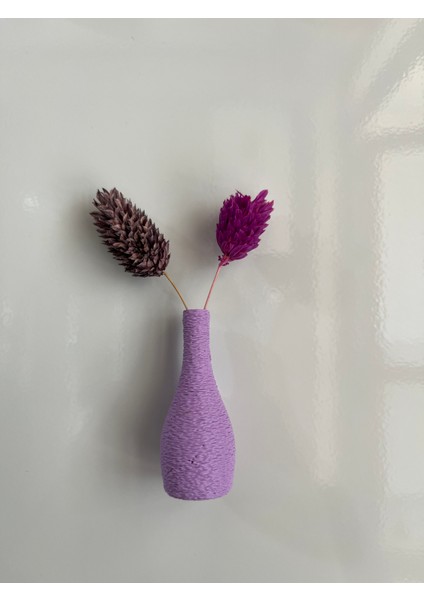 Miniflora - 5'li Magnetli Mini Vazo - Lila fırsatları