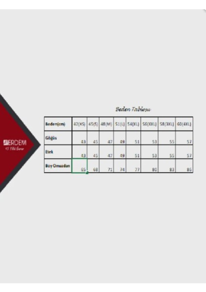 Iç Giyim Erdem Elastan Slim Fit T-Shirt (3 Adet) fiyatları