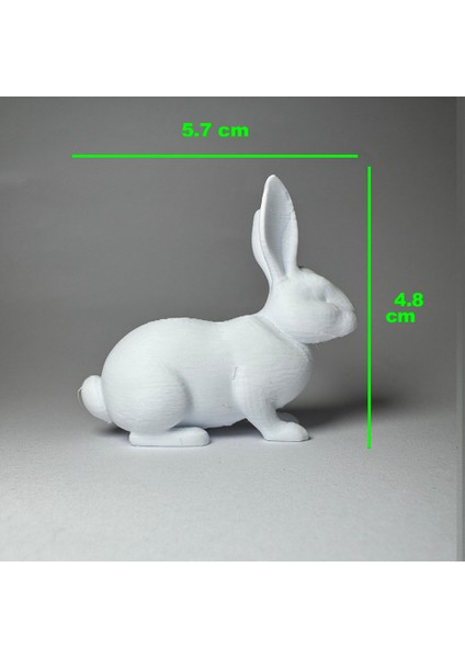 Sevimli Hayvanlar Serisi 1 - Plastik Oyuncak Boyama Seti - Sincap, Penguen, Zürafa, Tavşan