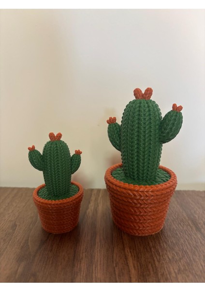Örme Kaktüs - Dekoratif Çiçek (2'li)