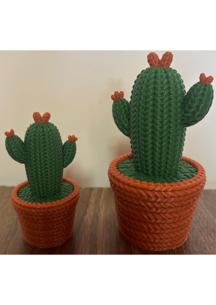 Örme Kaktüs - Dekoratif Çiçek (2'li) fiyatları