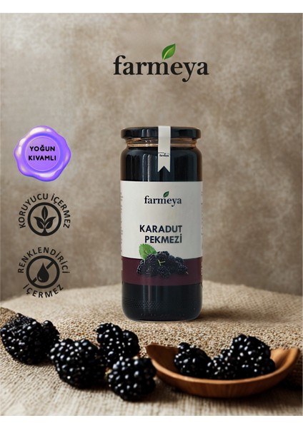 Karadut Pekmezi 610 gr