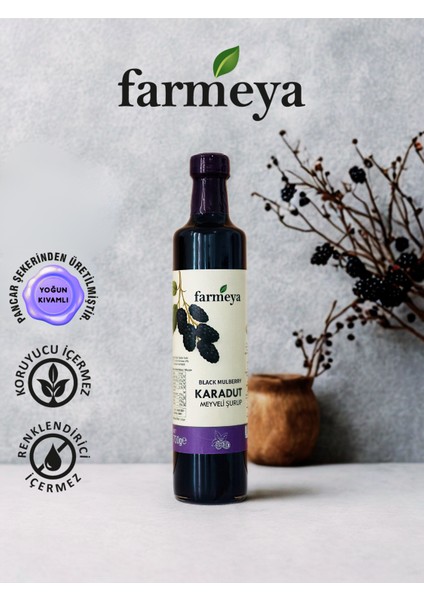 Karadut Özü 700gr - Karadut Meyveli Şurup