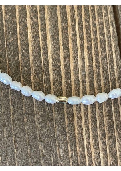 14 Ayar Altın Burgu Detaylı Doğal Incili Zarif Altın Kolye fırsatları