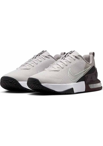 Ayakkabı Antrenman ve Spor Salonu Ayakkabıları M Aır Max Alpha Traıner 6 fiyatları