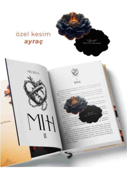 Mıh 1, Mıh 2, Kasırgaya Kanan Saka 1, 2 Mehsa ve Hazel Noya 4 Kitap Ciltli Set fiyatları