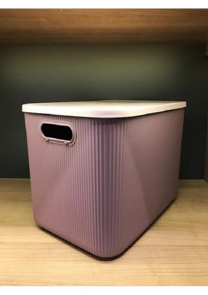 Mor Çok Amaçlı Dolap Içi Düzenleyici Kutu, 21 Lt, Pratik ve Şık Organizatör