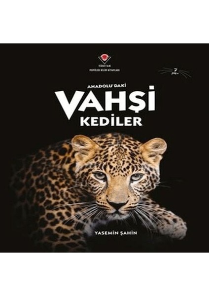 Anadolu'daki Vahşi Kediler