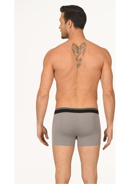 Iç Giyim (3 Adet) Nbb Hendrix Modal Boxer fiyatları