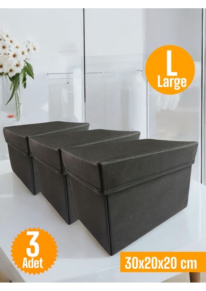 Siyah Kapaklı Çok Amaçlı Dolap Içi Saklama Kutusu 30X20X20 cm (3'lü)