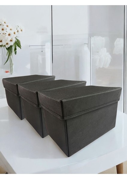 Siyah Kapaklı Çok Amaçlı Dolap Içi Saklama Kutusu 30X20X20 cm (3'lü) fiyatları