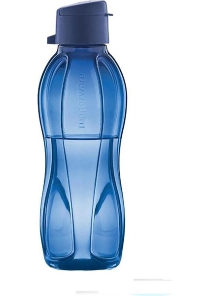 Lacivert ve Lila 500 ml Şişe Suluk, Sağlıklı ve Şık Tasarım, Çift Paket fiyatları