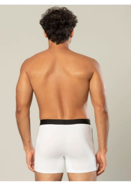 Iç Giyim Erdem Likra Pamuk Boxer (3 Adet) fiyatları