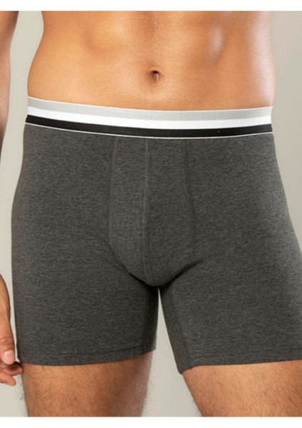 Iç Giyim Erdem Pamuk Elastan Uzun Boxer (3 Adet) fiyatları