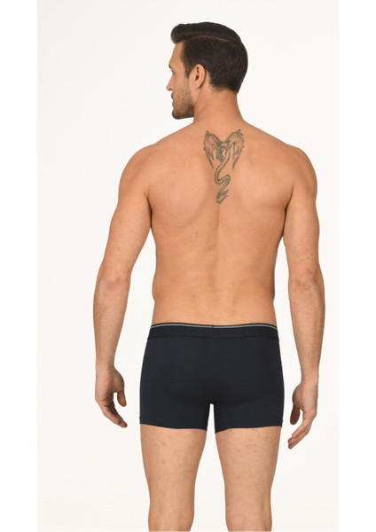 Iç Giyim (3 Adet) Nbb Hendrix Modal Boxer fiyatları