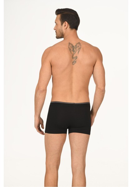 Iç Giyim (3 Adet) Nbb Hendrix Modal Boxer fiyatları