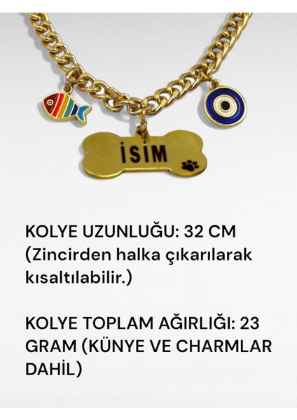 Paslanmaz Çelik Köpek Kolyesi- Isimli Köpek Tasması - Köpek Zinciri- Köpek Kolyesi-Küçük ve Orta Irk modelleri