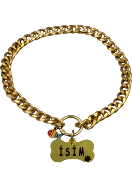 Isimli Köpek Tasması- Köpek Zincir - Paslanmaz Çelik Köpek Kolyesi - Köpek Kolye - Orta ve Büyük Irk